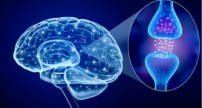 Parkinson Hastalığı nedenleri